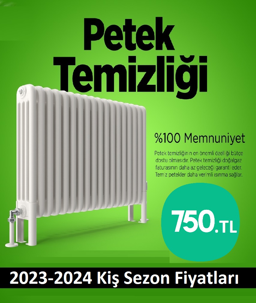 Sarıyer Petek Temizliği Tek Fiyat Teklifi Al